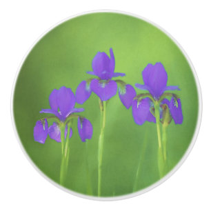 Purple Iris Painting - Original Flower Art Ceramic Knob