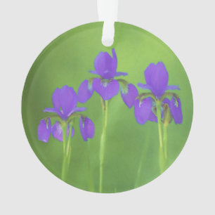 Purple Iris Painting - Original Flower Art Ornament