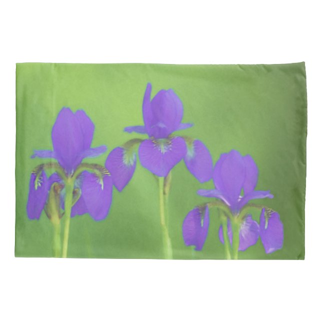 Purple Iris Painting - Original Flower Art Pillowcase (Back)