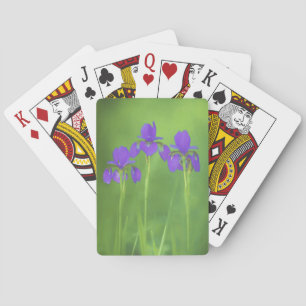 Purple Iris Painting - Original Flower Art Playing Cards