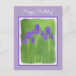 Purple Iris Painting - Original Flower Art Postcard