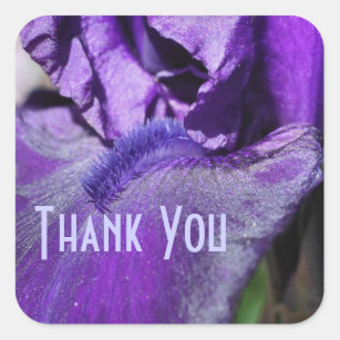 Purple Iris Petal Flower Thank You Sticker