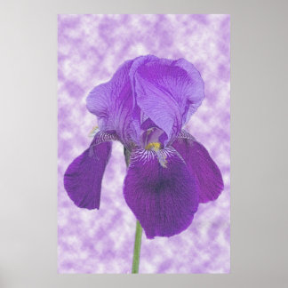 Purple Iris Print