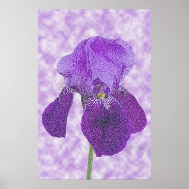Purple Iris Print (Front)