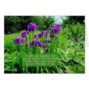 Purple Iris Standing Tall