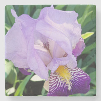 Purple Iris Stone Coasters