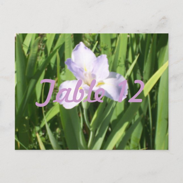 Purple Iris Table Number Postcard (Front)