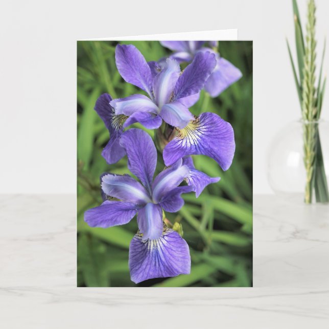 Purple Iris Thank You Card (Front)