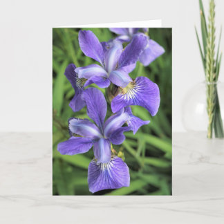 Purple Iris Thank You Card