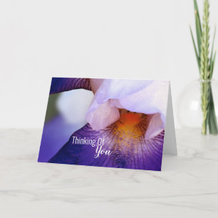 Purple Iris Thinking Of You Card