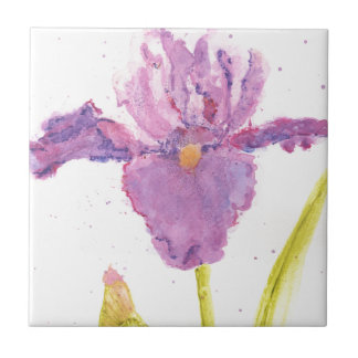 Purple Iris Watercolor Tile