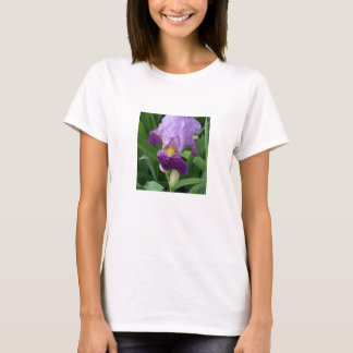 Purple Iris Womans T-Shirt