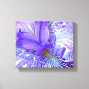 Purple Iris Wrapped Canvas