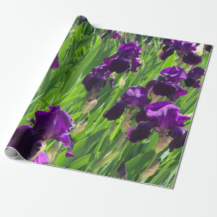 Purple Iris Wrapping Paper