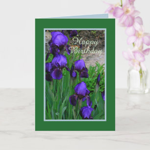 Purple Irises/Birthday/So Glad You Were Born Card