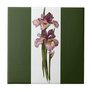 Purple Irises Dark Green Tile