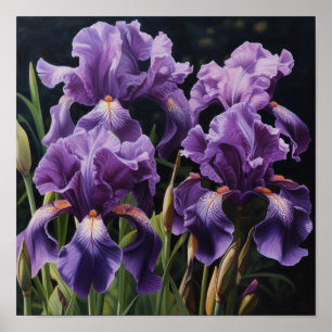 Purple Irises Flower Art Print Poster