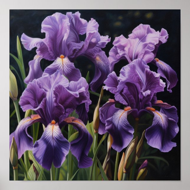 Purple Irises Flower Art Print Poster (Front)