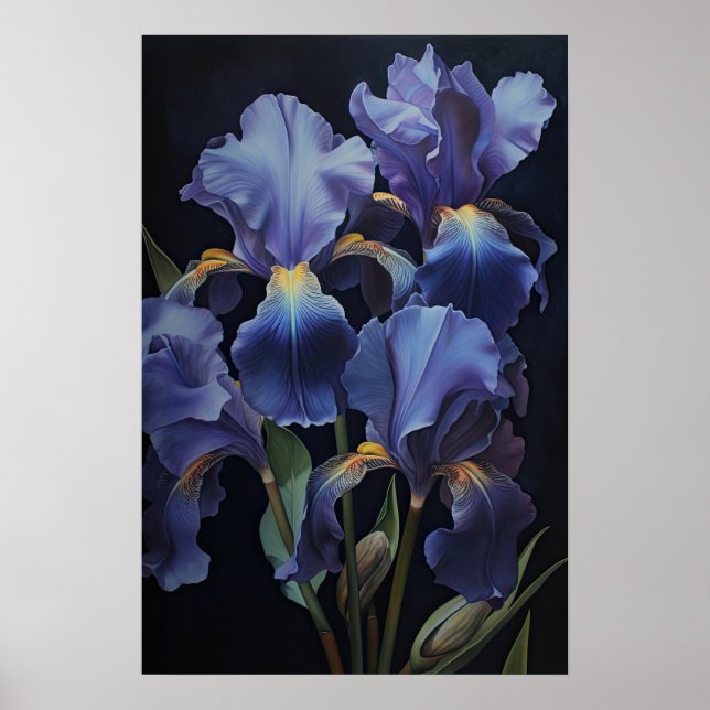 Purple Irises Flower Art Print Poster (Front)