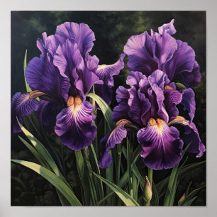 Purple Irises Flower Art Print Poster
