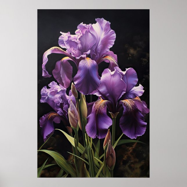Purple Irises Flower Art Print Poster (Front)