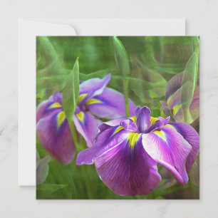 Purple Irises in Motion - Thinking of You