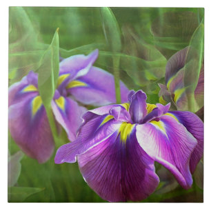 Purple Irises in Motion Tile