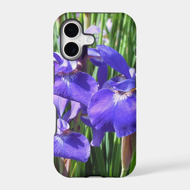 Purple Irises iPhone 5 case (Back)