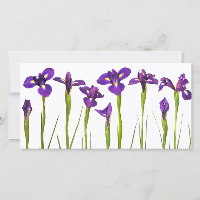 Purple Irises - Iris Flower Customised Template (Front)