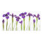 Purple Irises - Iris Flower Customised Template
