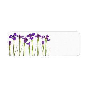 Purple Irises - Iris Flower Customised Template