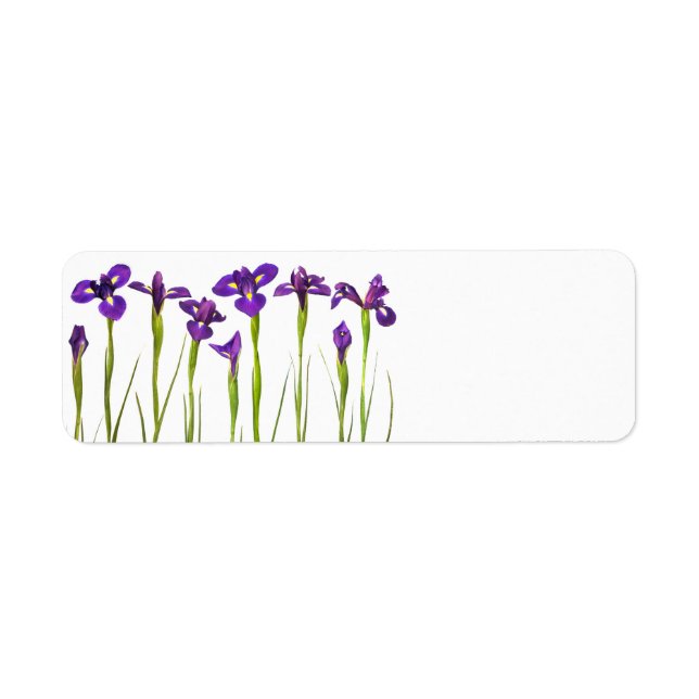 Purple Irises - Iris Flower Customised Template (Front)