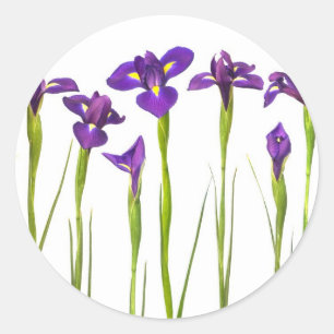 Purple Irises - Iris Flower Customised Template Classic Round Sticker