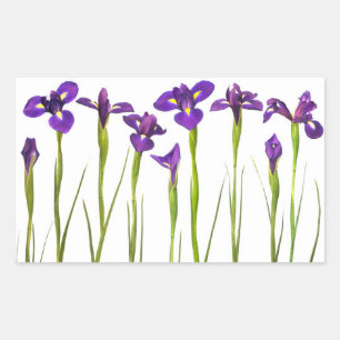 Purple Irises - Iris Flower Customised Template Rectangular Sticker