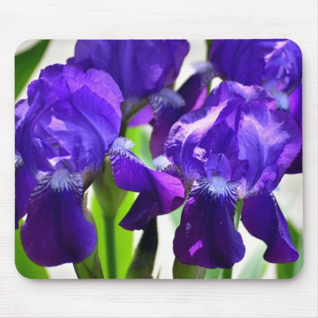 Purple Irises Iris Flower Mouse Mat (Front)