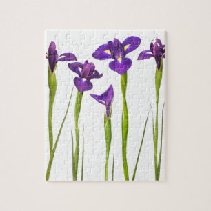 Purple irises isolated on a white background jigsaw puzzle