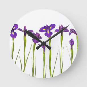 Purple irises isolated on a white background round clock