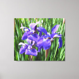 Purple Irises On Canvas Print