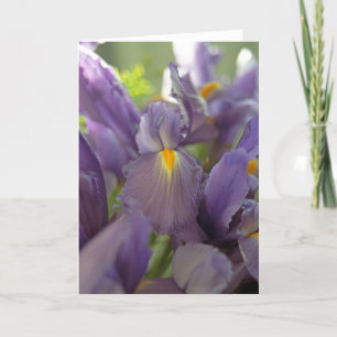 Purple Irises Photo Greeting Card