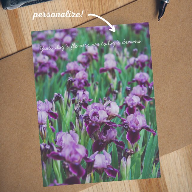 Purple irises  postcard (Creator Uploaded)