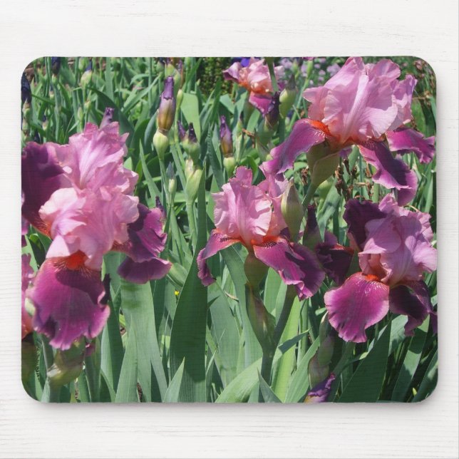 Purple Irises Spring Floral Mouse Mat (Front)