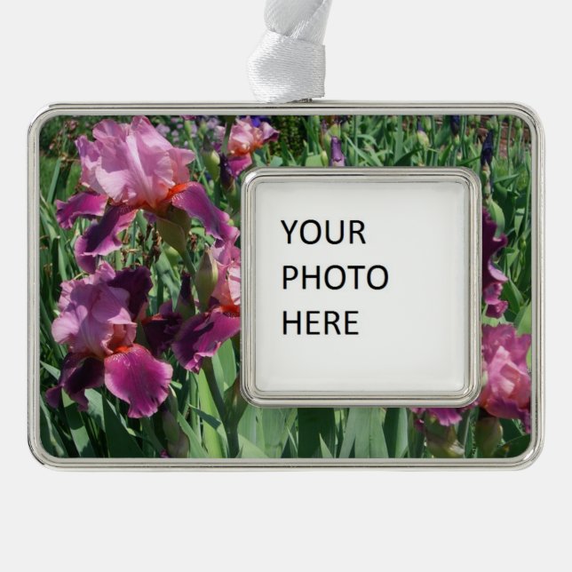 Purple Irises Spring Floral Silver Plated Framed Ornament (Front)