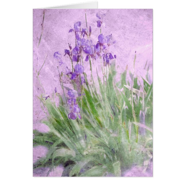Purple Irises Watercolor Card (Front)