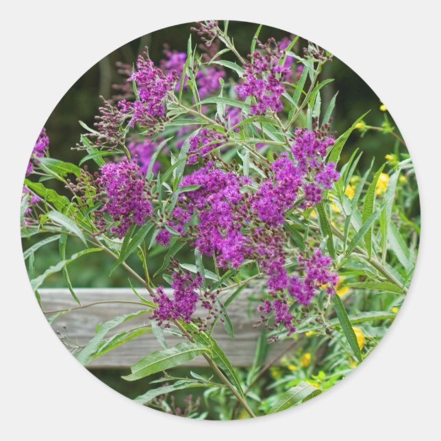 Purple Ironweed Wildflowers - Vernonia gigantea Classic Round Sticker (Front)