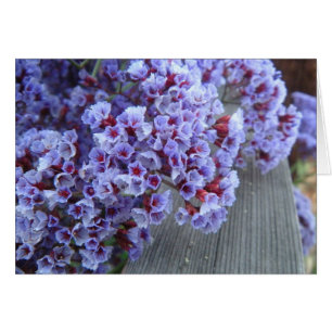 Purple Itty-Bitty's Card