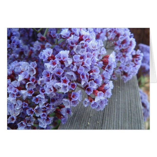 Purple Itty-Bitty's Card (Front Horizontal)