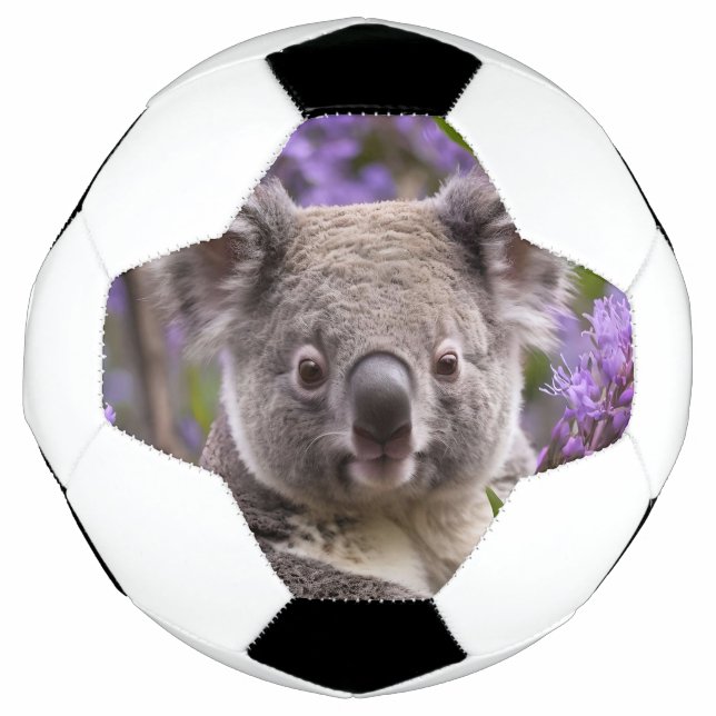 Purple Jacaranda Koala Bear, Football (Front)