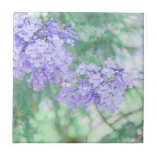 Purple Jacaranda Tree Flowers Nature Tile
