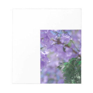 Purple Jacaranda Tree Flowers Notepad