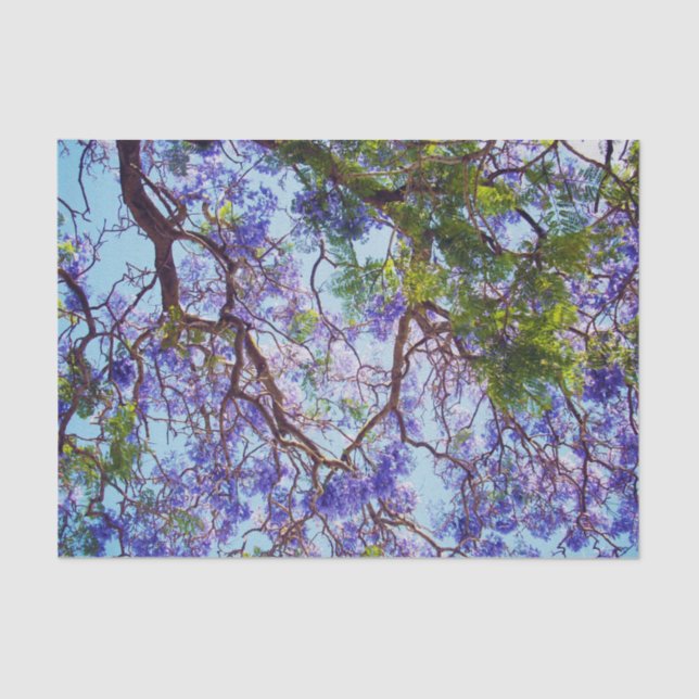 Purple Jacaranda Tree Oil Paint, Tissue Paper (Front)
